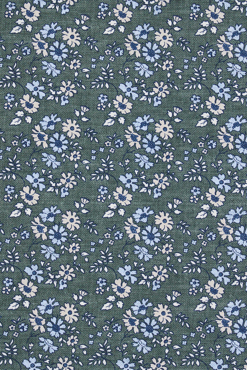 Anderlini Pocket Square - Image 3