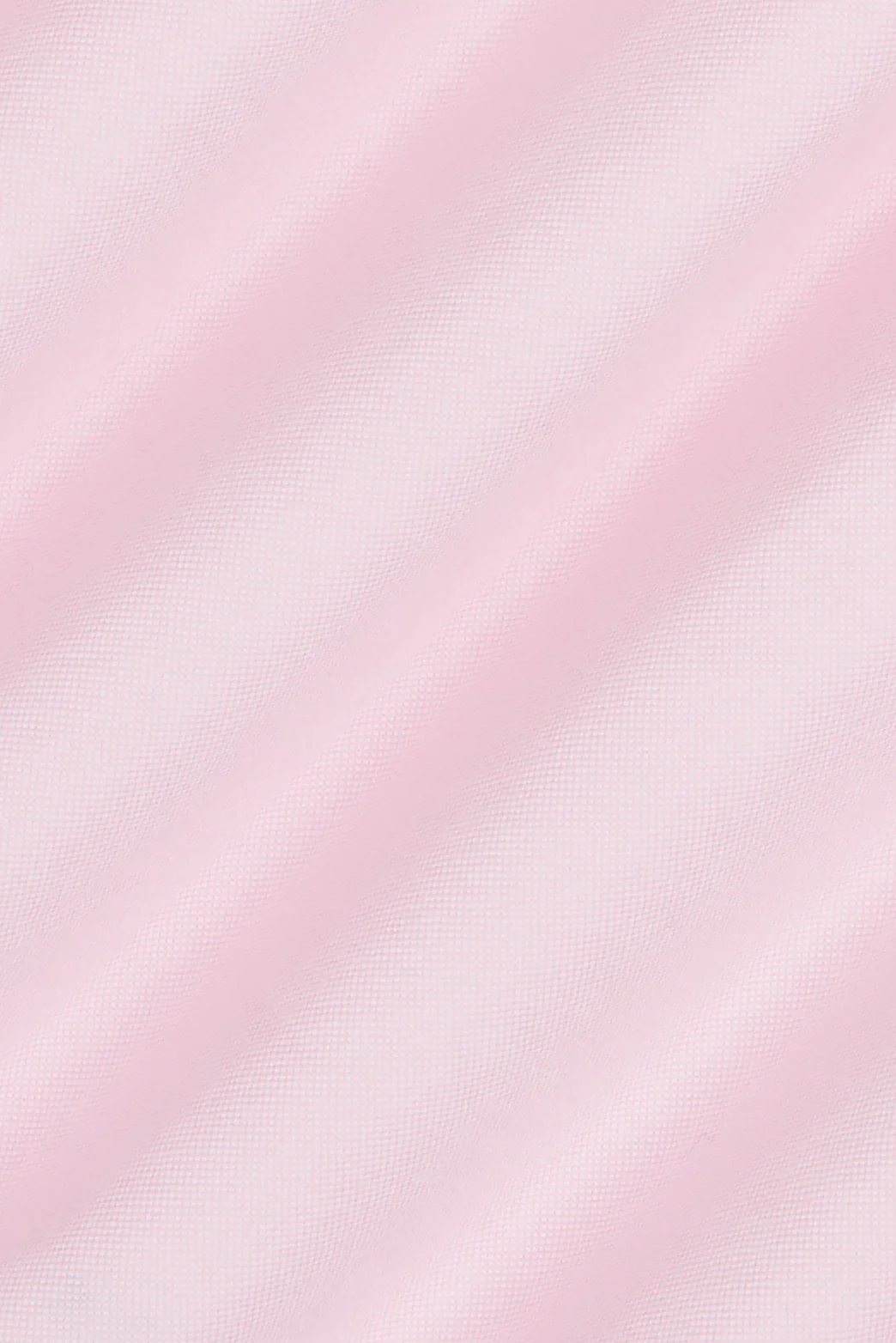 Princeton Oxford Shirt - Image 7