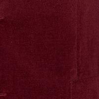Ziggy Washed Velvet Jacket - Image 9